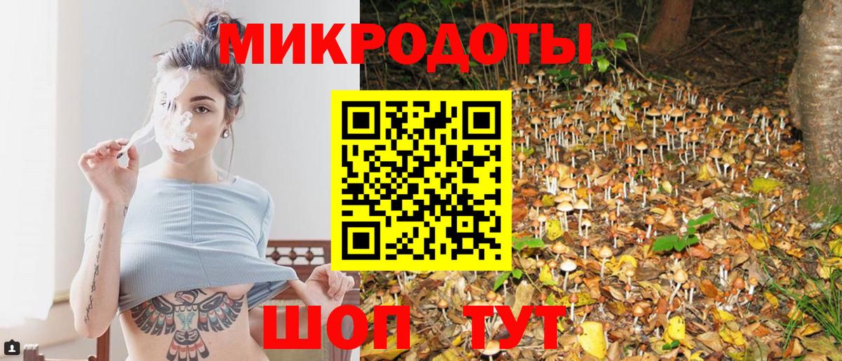 Псилоцибиновые грибы Cubensis Краснотурьинск
