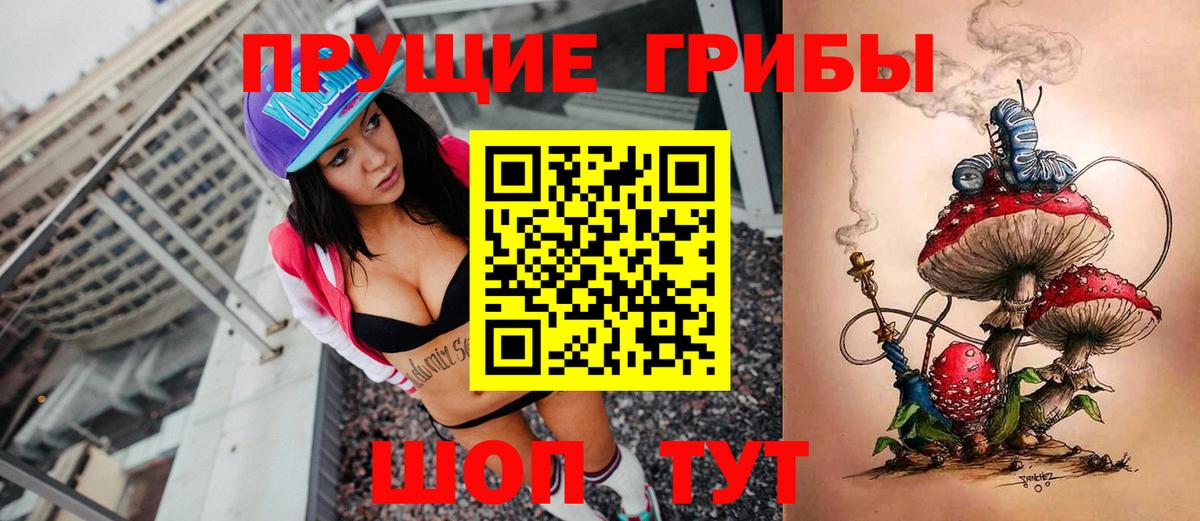 Галлюциногенные грибы прущие грибы  Вход с VPN  Краснотурьинск  Галлюциногенные грибы Psilocybe 